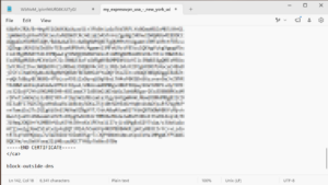 OpenDNS notepad with block-outside-dns instruction added.