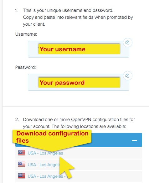 tor vpn custom openvpn configuration