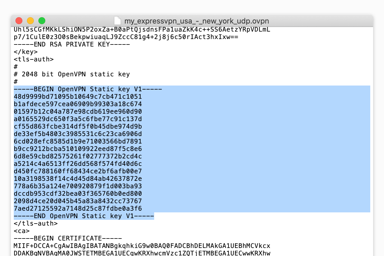 Enter text in the TLS Auth Key field.