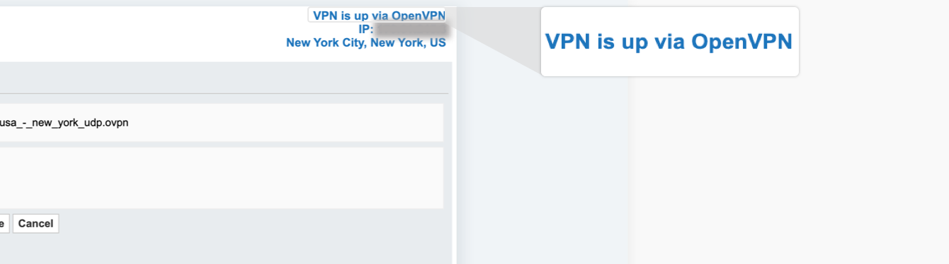Once you are connected to the VPN, you will see “VPN is up via OpenVPN” and the VPN’s IP address.