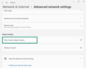 The Windows 11 Advanced network settings screen with a green box highlighting the "More network adapter options" link under the Related settings header.