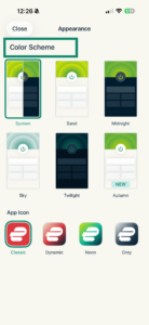 ExpressVPN iOS app color scheme options.