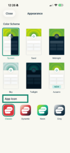 ExpressVPN app icon color options.