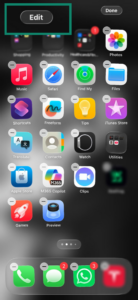 iOS home screen.