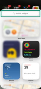 iOS home screen showing the widget search bar.