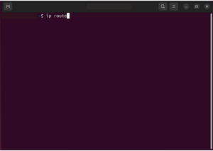 The "ip route" command on Linux.